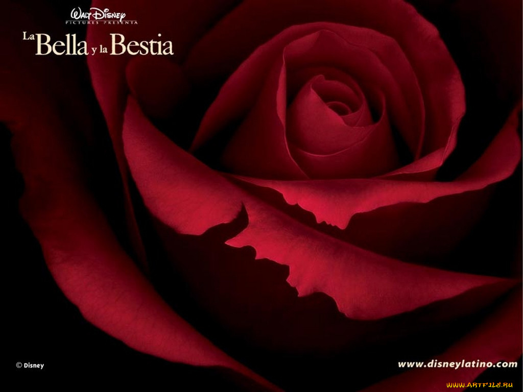 , beauty, and, the, beast